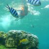 Angthong Marine Park Day Trip by Speedboat – Snorkeling, Kayaking & Buffet Lunch - Image 3