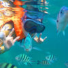 Koh Tao & Koh Nang Yuan Snorkeling Day Trip - Image 16