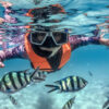 Koh Tao & Koh Nang Yuan Snorkeling Day Trip - Image 8