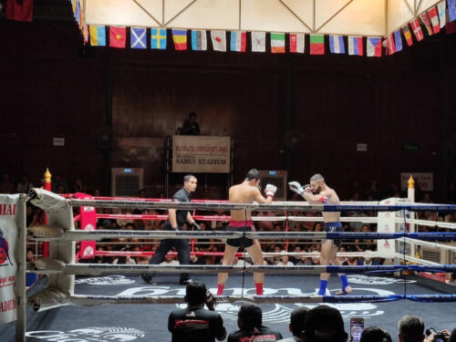 Muay Thai Fight Night in Koh Samui