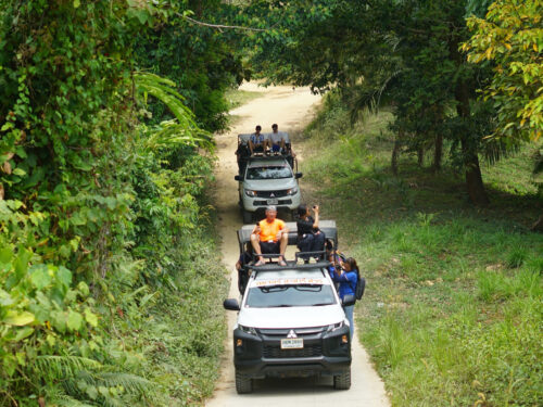 Jungle Safari Adventure in Koh Samui by 4x4 Jeep