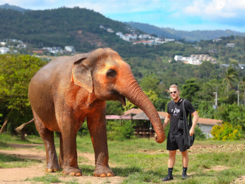 Samui Elephant Sanctuary Experience: No Riding, Just Respect