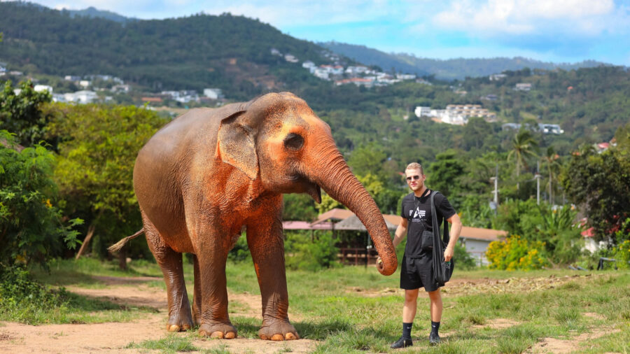 Samui Elephant Sanctuary Experience: No Riding, Just Respect